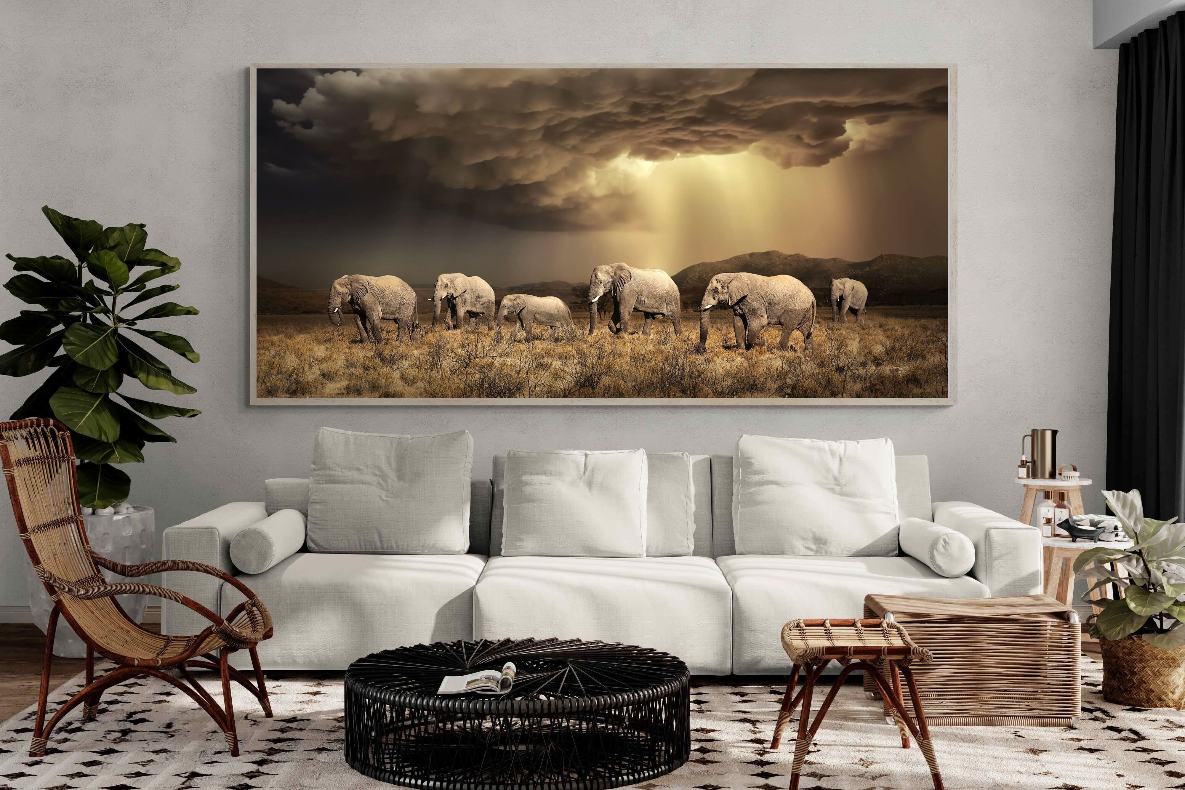 Pixalot Stormy Herd