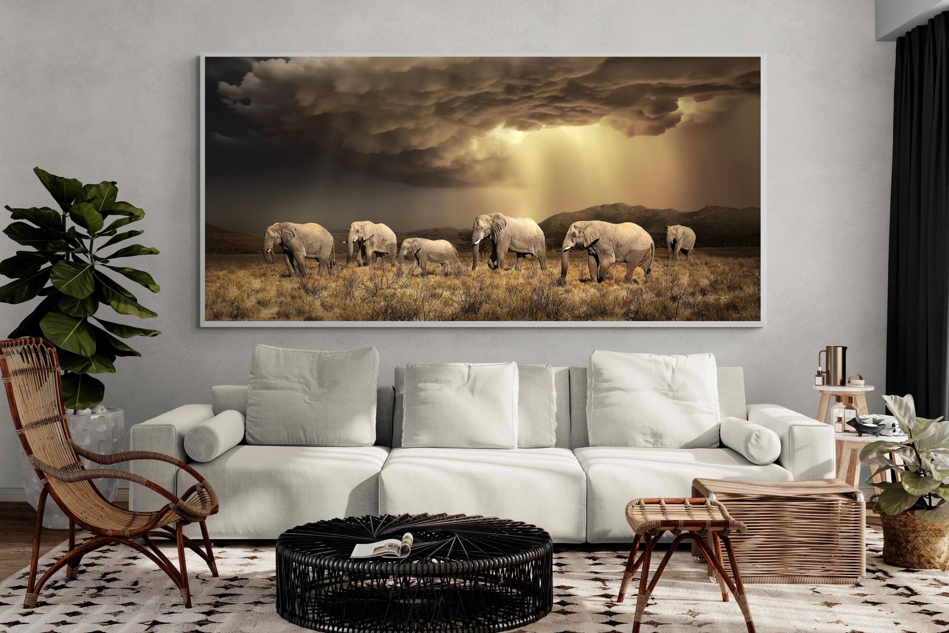 Pixalot Stormy Herd