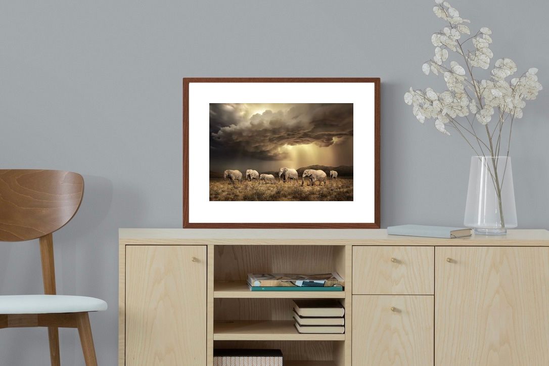 Pixalot Stormy Herd