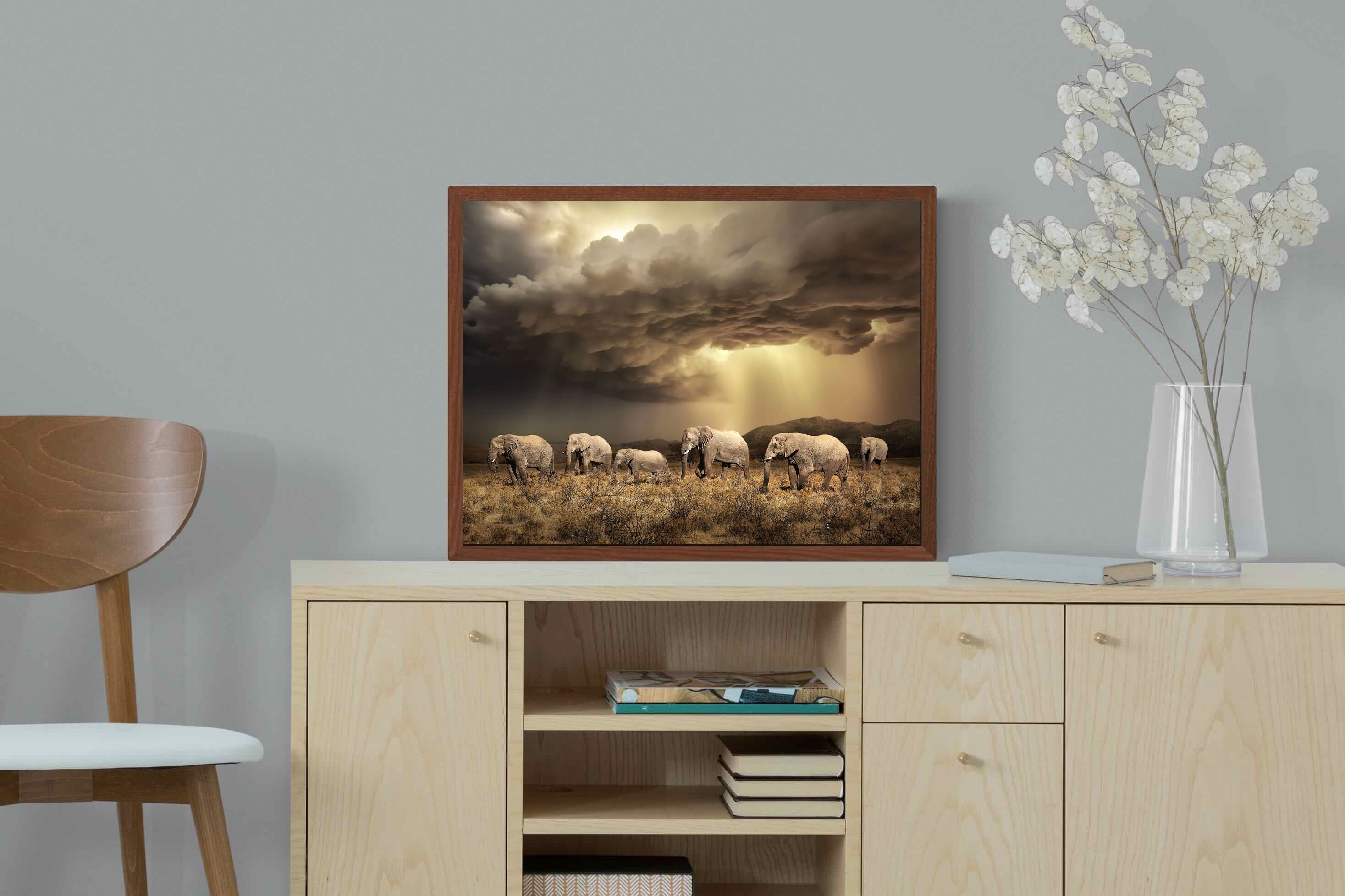 Pixalot Stormy Herd