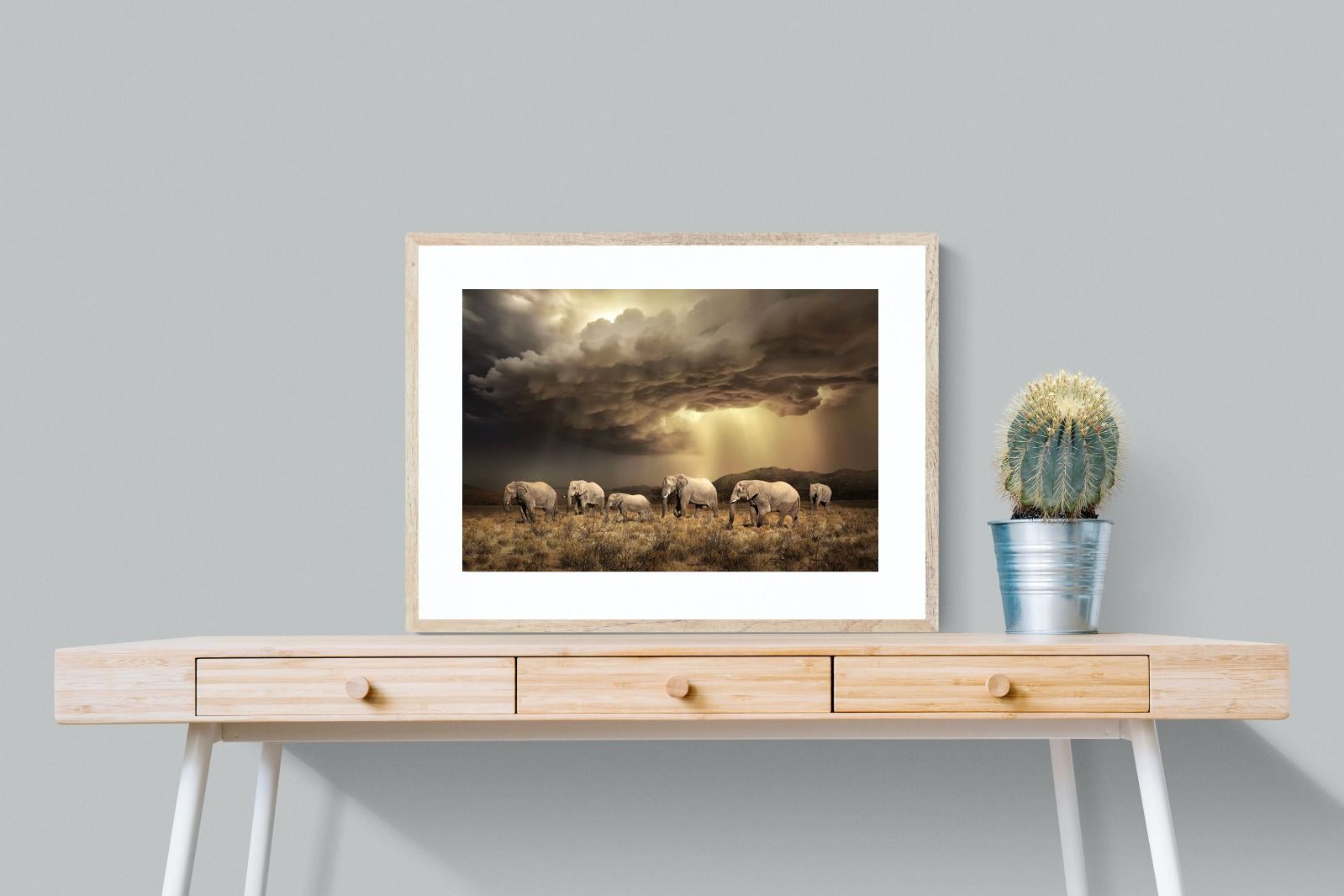 Pixalot Stormy Herd