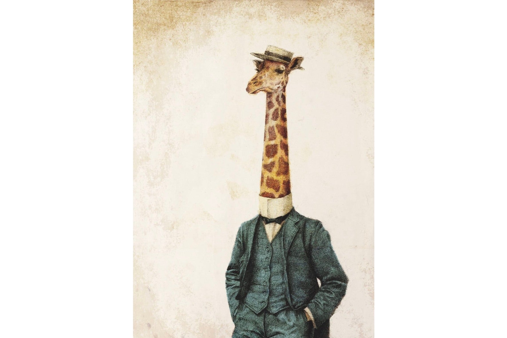 Dragable Image