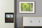 Pixalot ® Sunbird