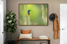 Pixalot ® Sunbird