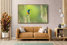 Pixalot ® Sunbird