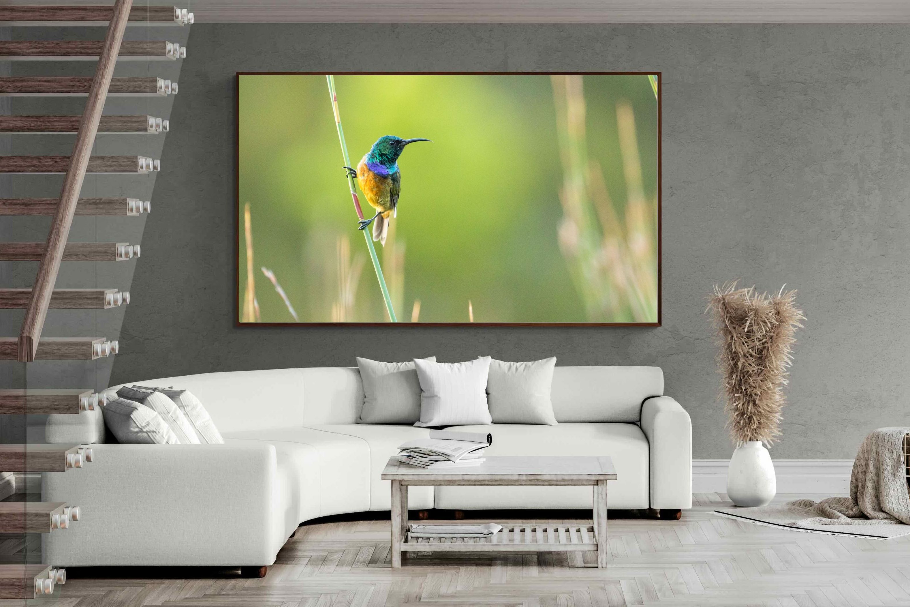 Pixalot ® Sunbird