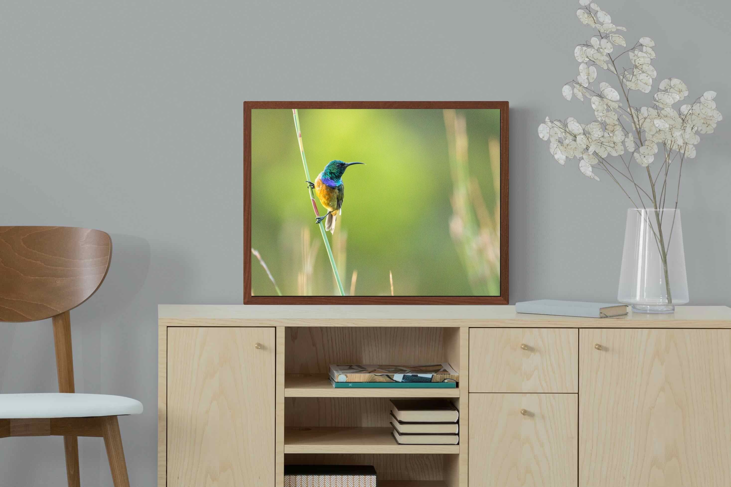 Pixalot ® Sunbird