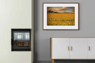 Pixalot ® Sunflower Field