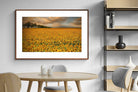 Pixalot ® Sunflower Field