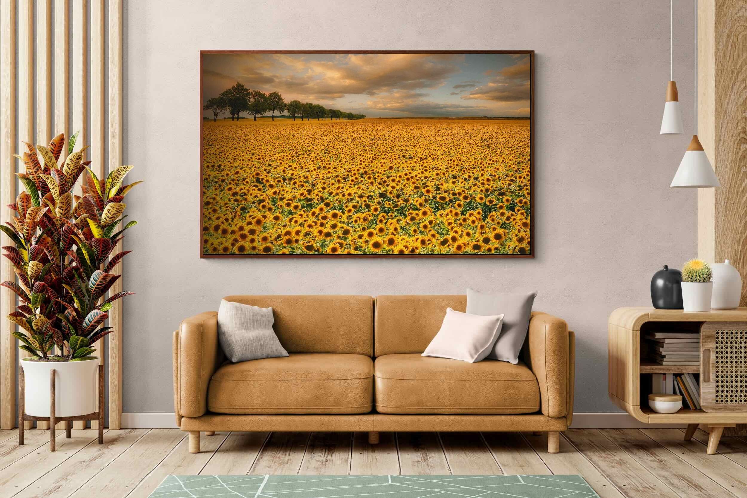 Pixalot ® Sunflower Field