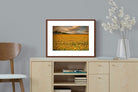 Pixalot ® Sunflower Field