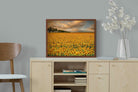 Pixalot ® Sunflower Field