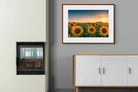 Pixalot ® Sunflowers