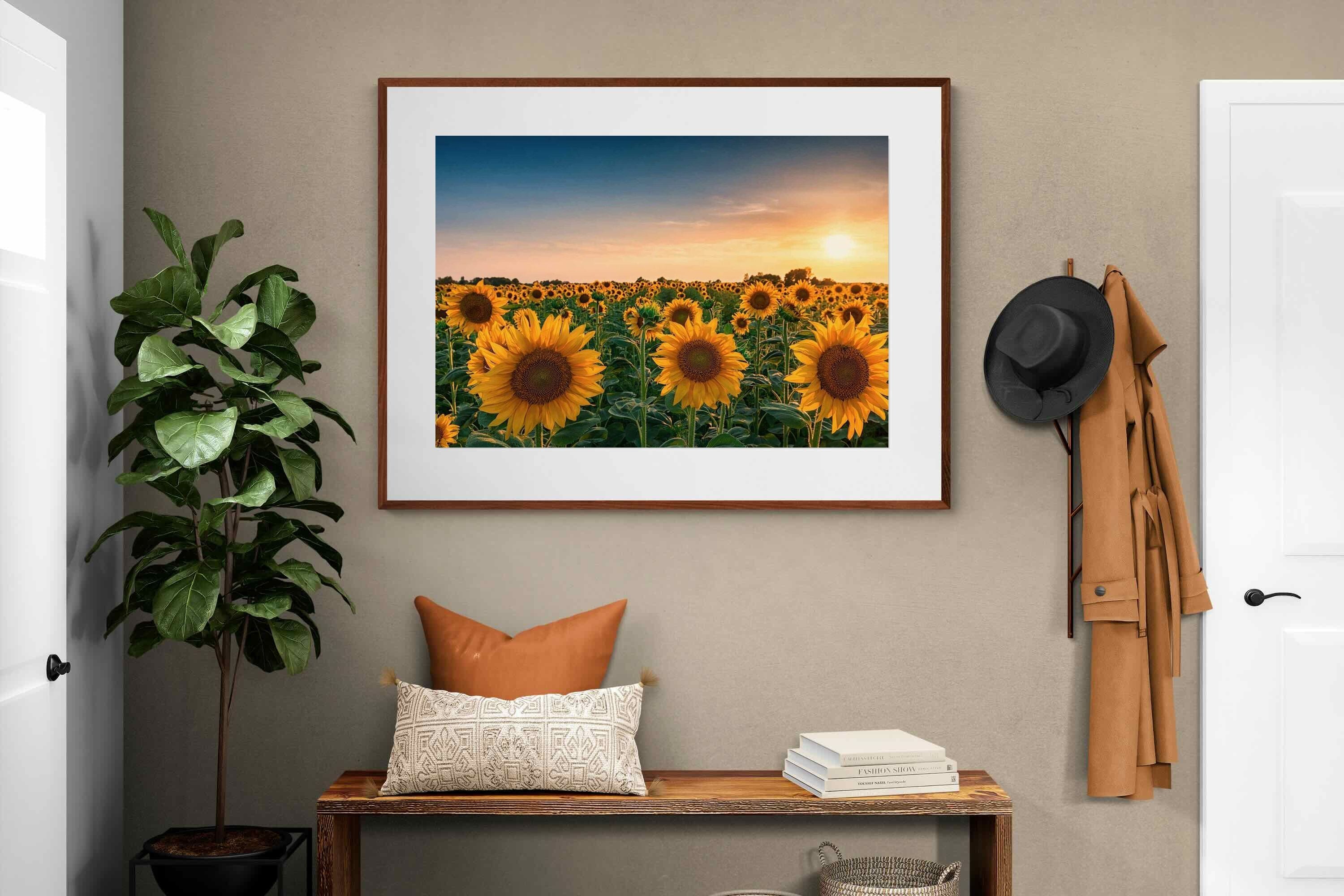 Pixalot ® Sunflowers
