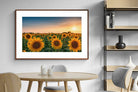 Pixalot ® Sunflowers