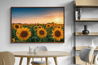 Pixalot ® Sunflowers