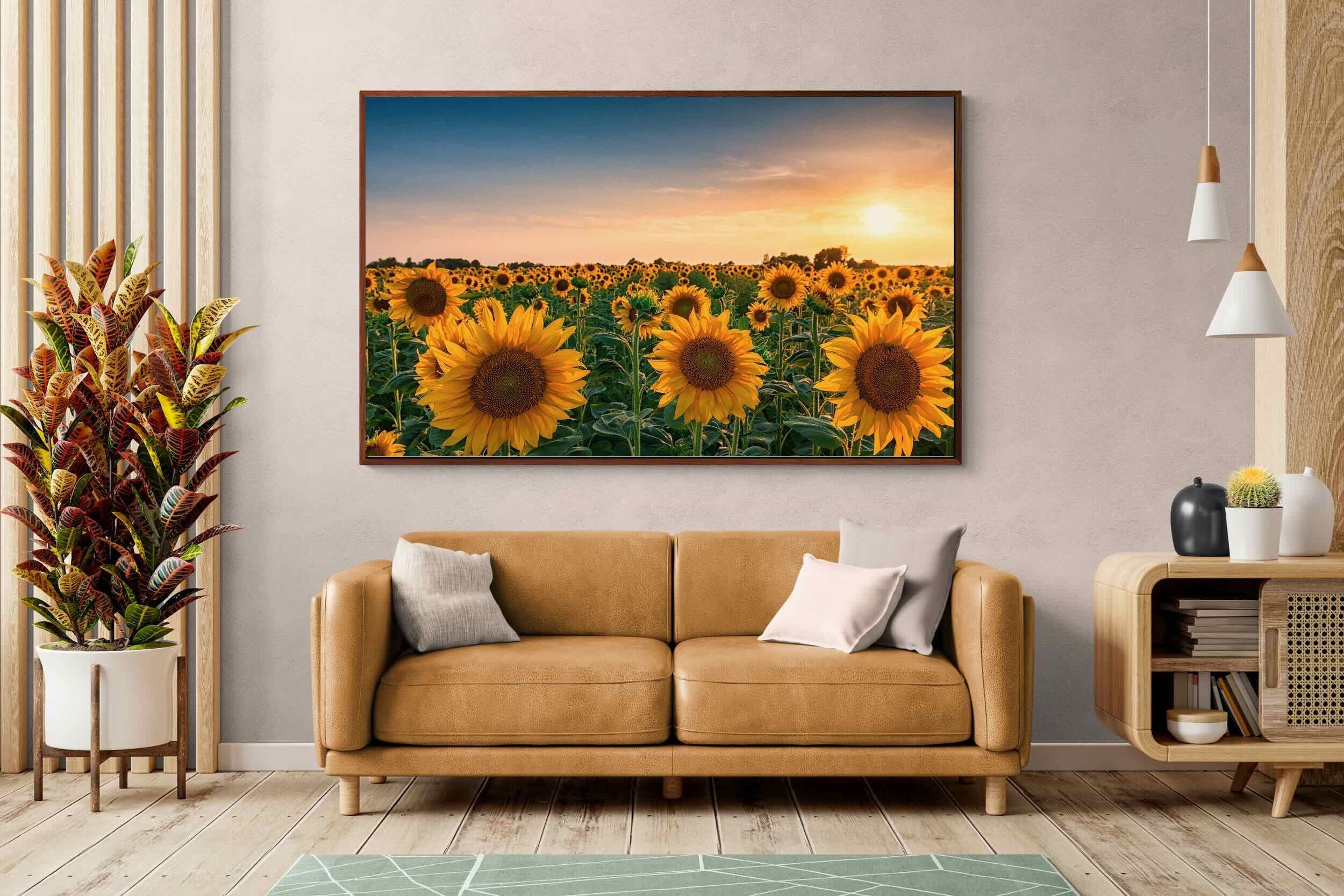Pixalot ® Sunflowers
