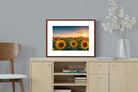 Pixalot ® Sunflowers