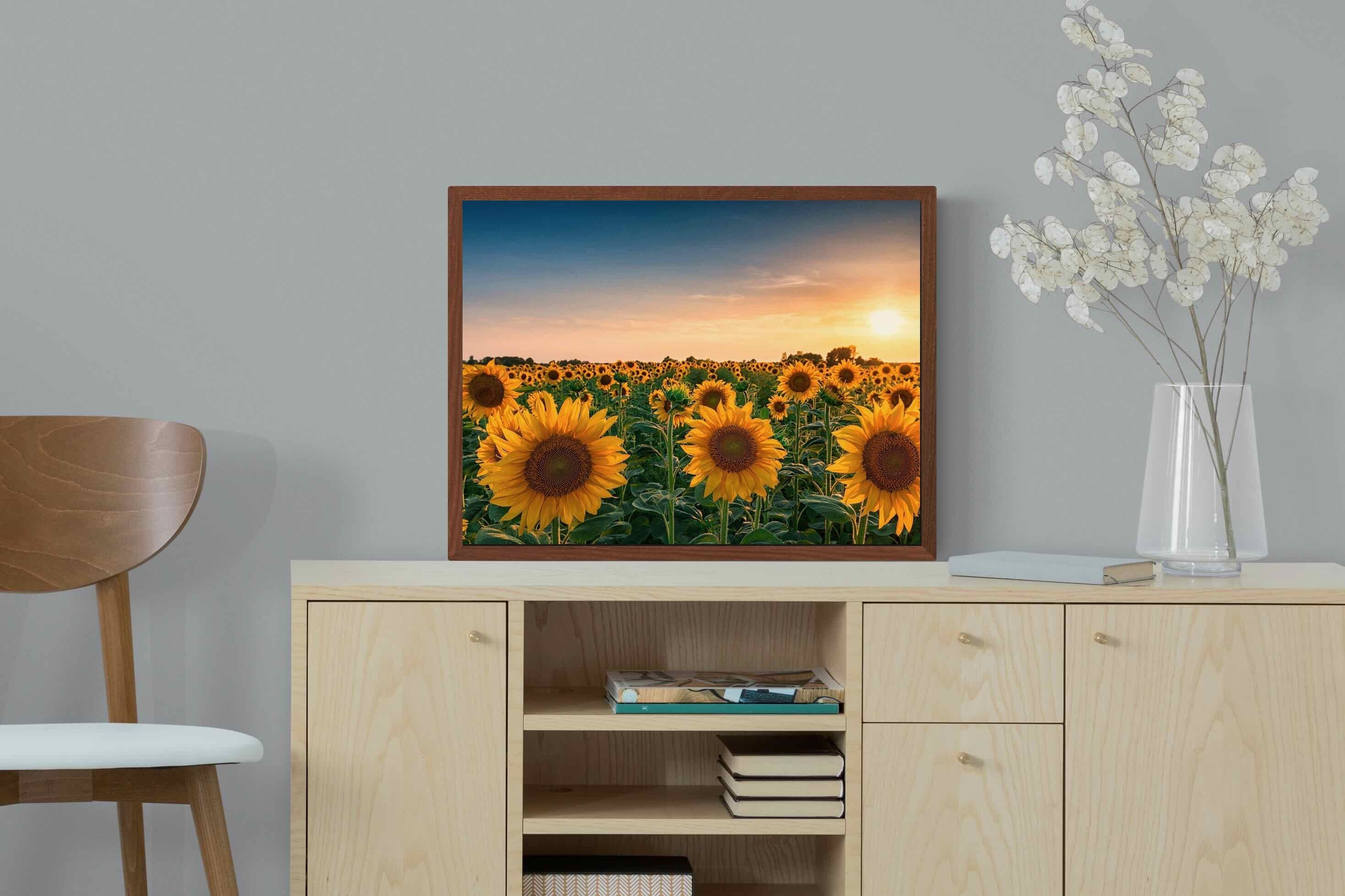 Pixalot ® Sunflowers