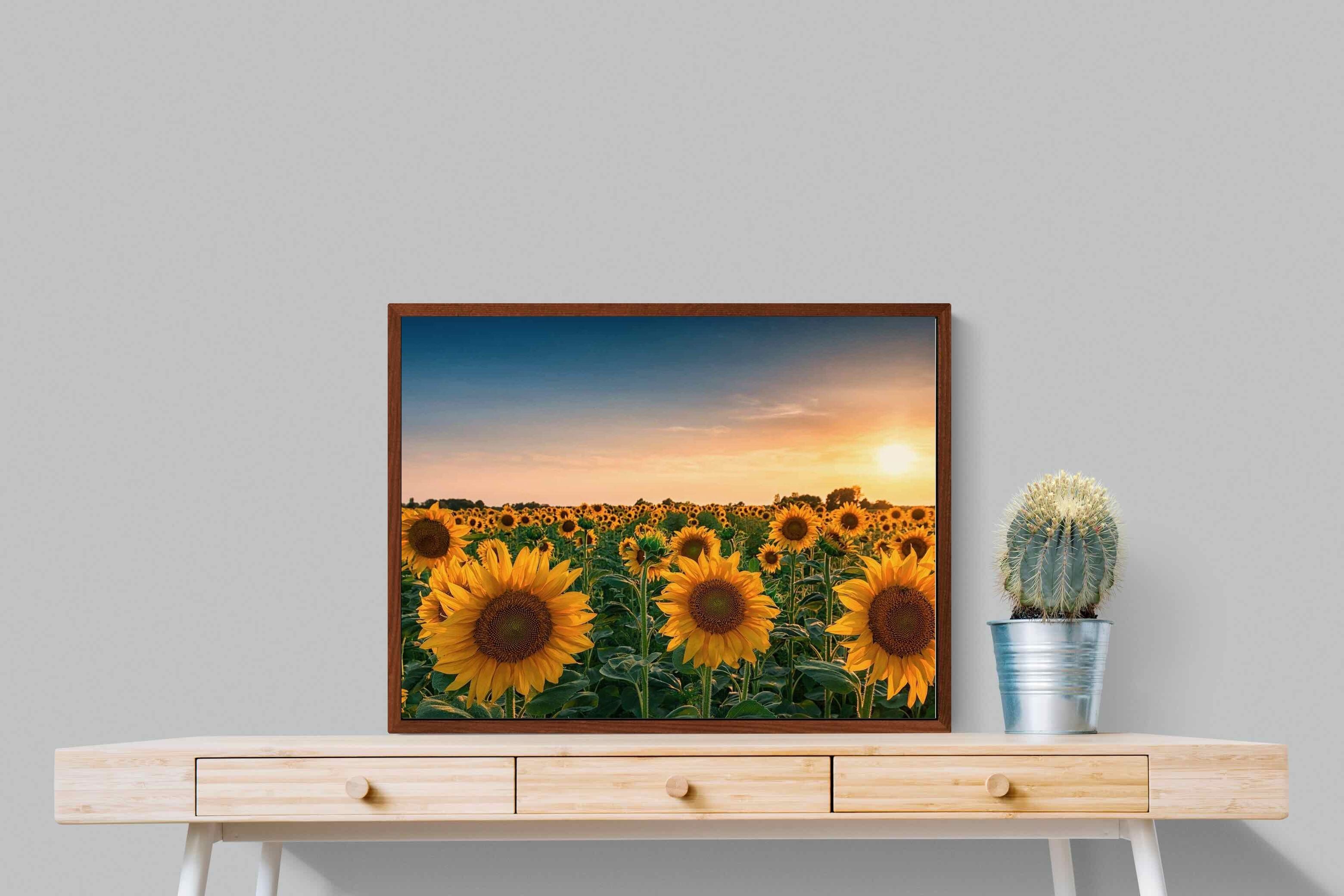 Pixalot ® Sunflowers