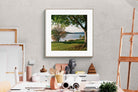 Pixalot ® Sunny Lakeside Landscape