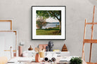 Pixalot ® Sunny Lakeside Landscape