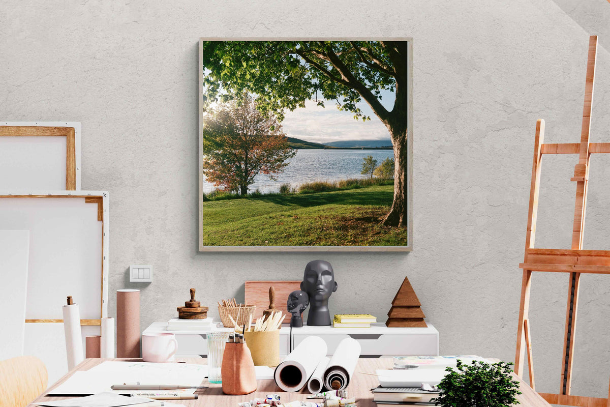 Pixalot ® Sunny Lakeside Landscape