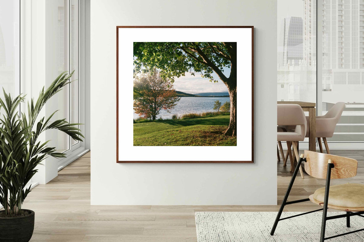 Pixalot ® Sunny Lakeside Landscape
