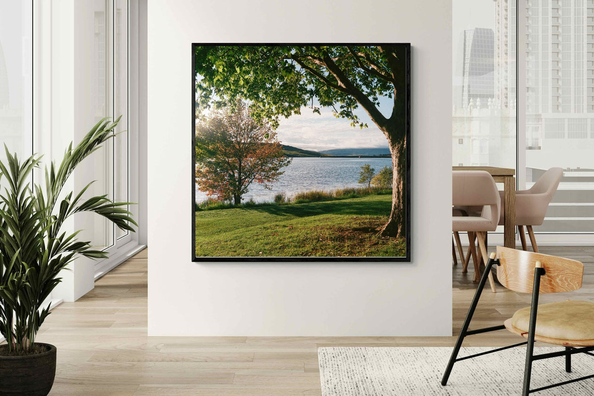 Pixalot ® Sunny Lakeside Landscape