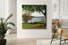 Pixalot ® Sunny Lakeside Landscape