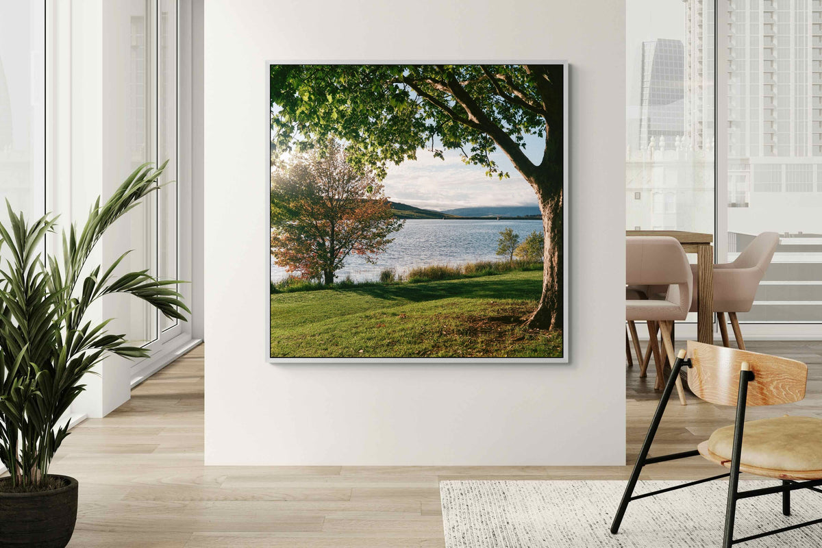 Pixalot ® Sunny Lakeside Landscape