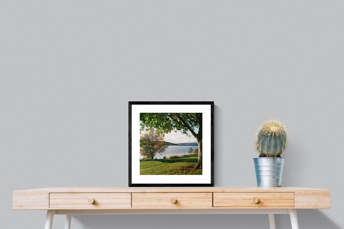 Pixalot ® Sunny Lakeside Landscape
