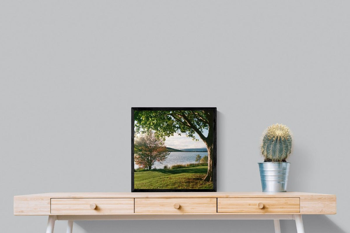 Pixalot ® Sunny Lakeside Landscape