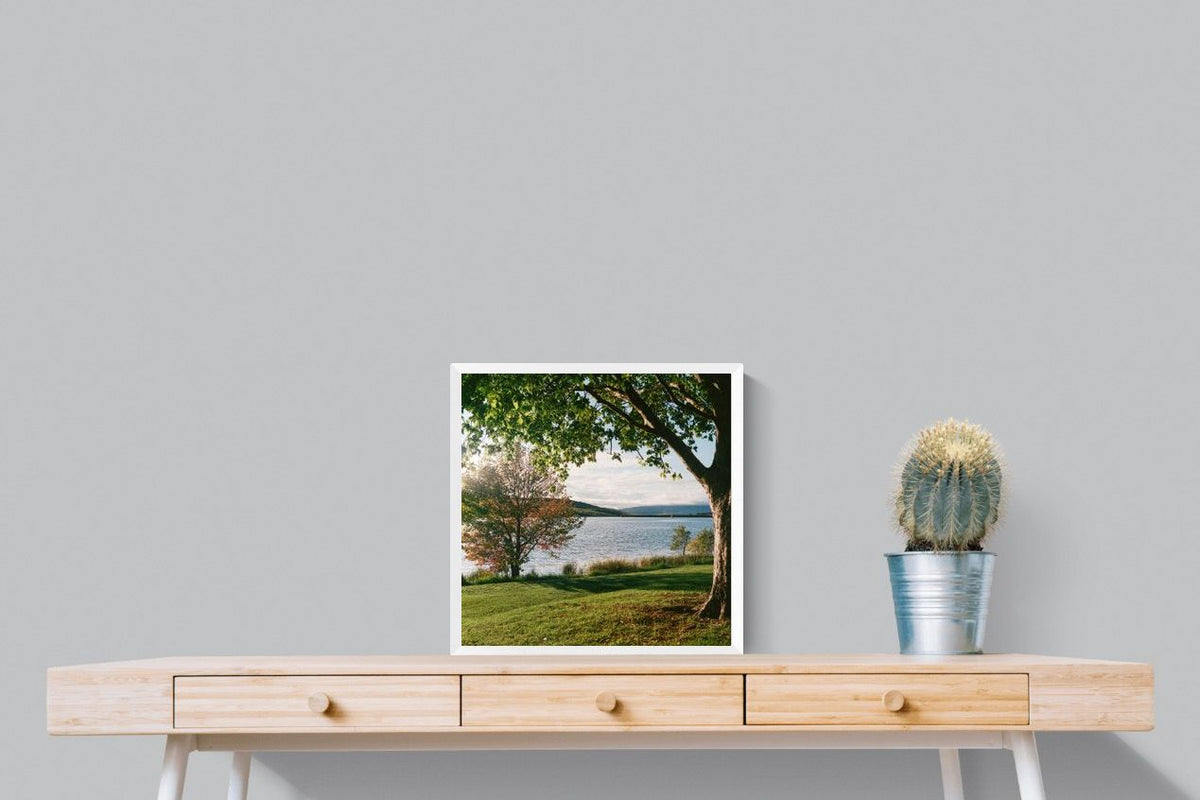 Pixalot ® Sunny Lakeside Landscape