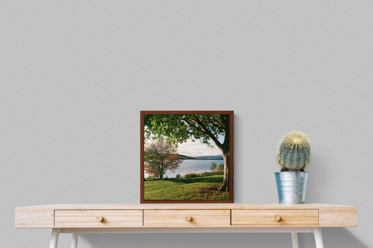 Pixalot ® Sunny Lakeside Landscape