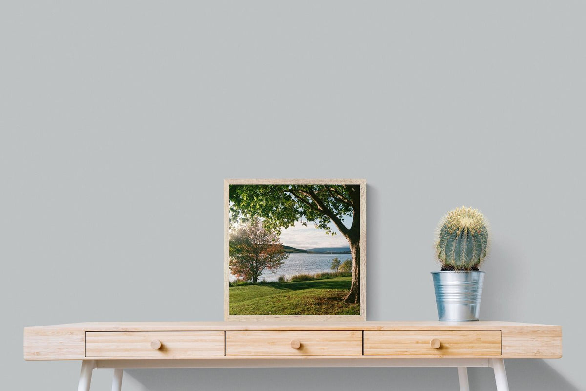 Pixalot ® Sunny Lakeside Landscape