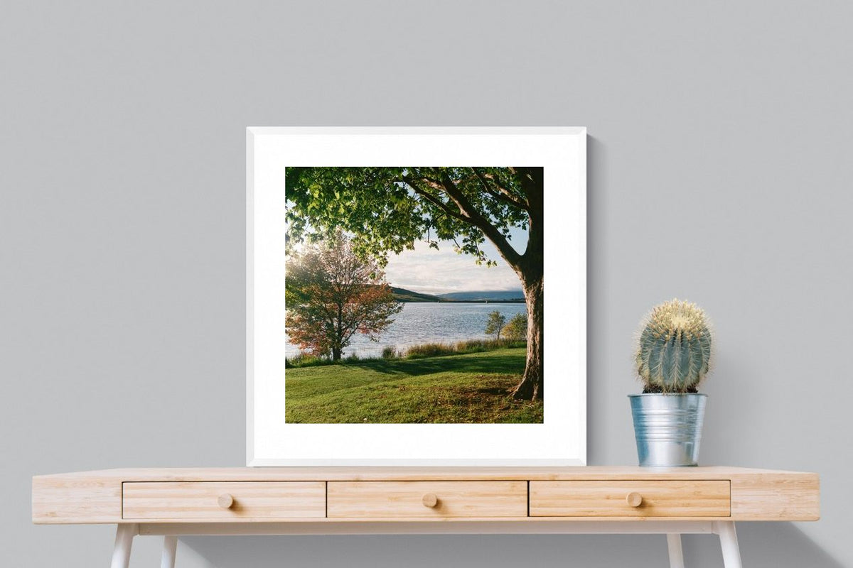 Pixalot ® Sunny Lakeside Landscape