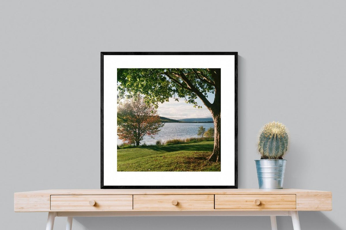Pixalot ® Sunny Lakeside Landscape