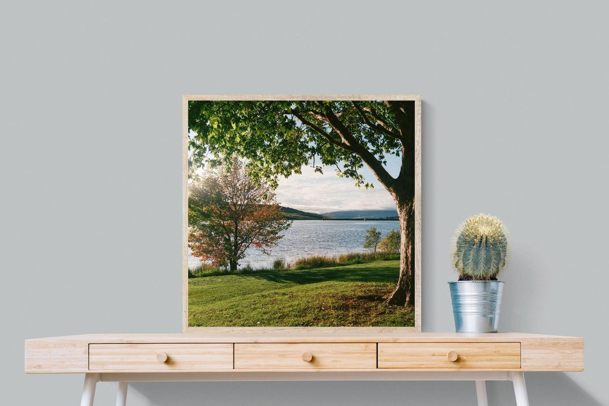 Pixalot ® Sunny Lakeside Landscape