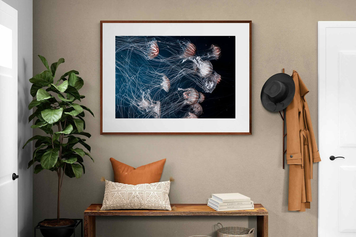 Pixalot ® Surging Jellyfish