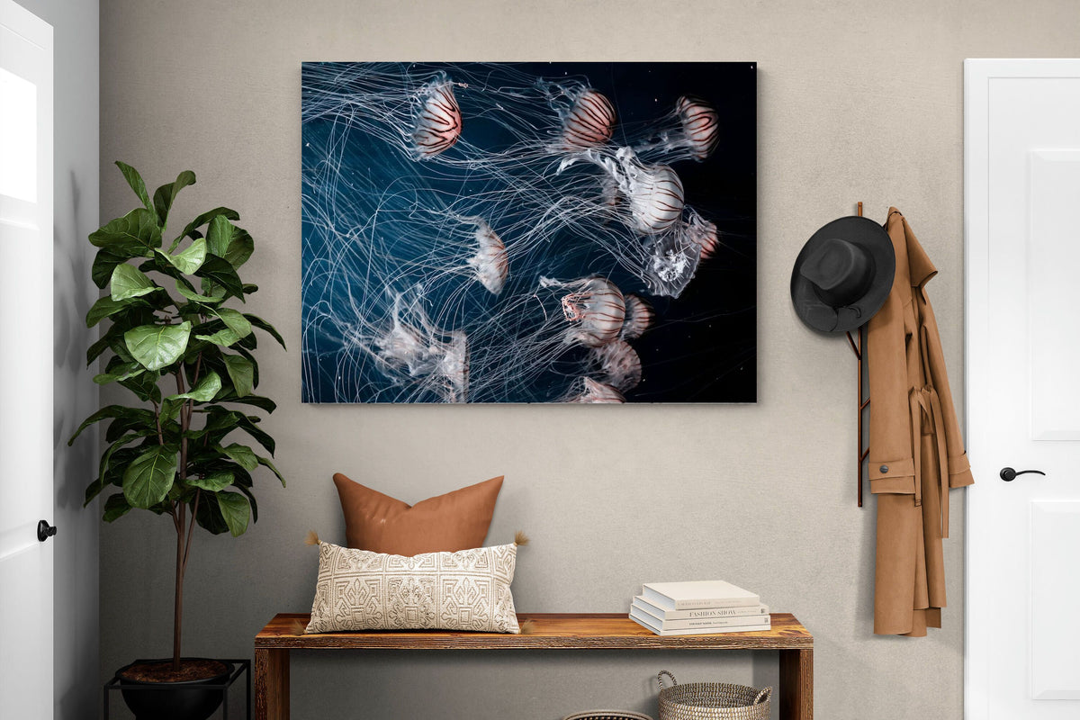 Pixalot ® Surging Jellyfish