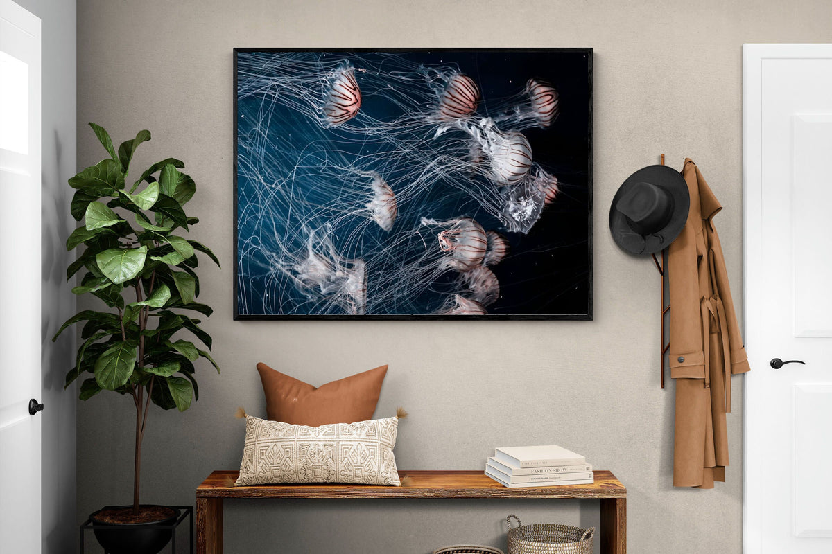 Pixalot ® Surging Jellyfish