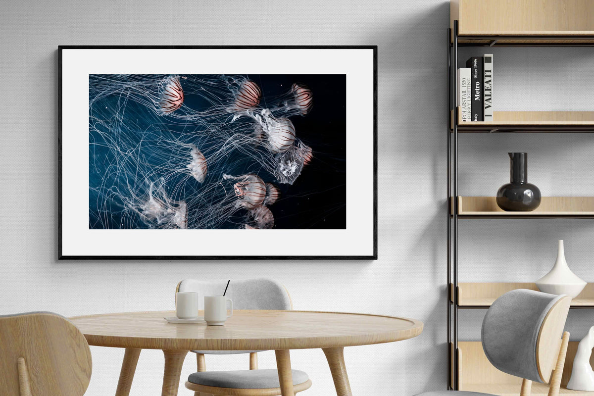 Pixalot ® Surging Jellyfish