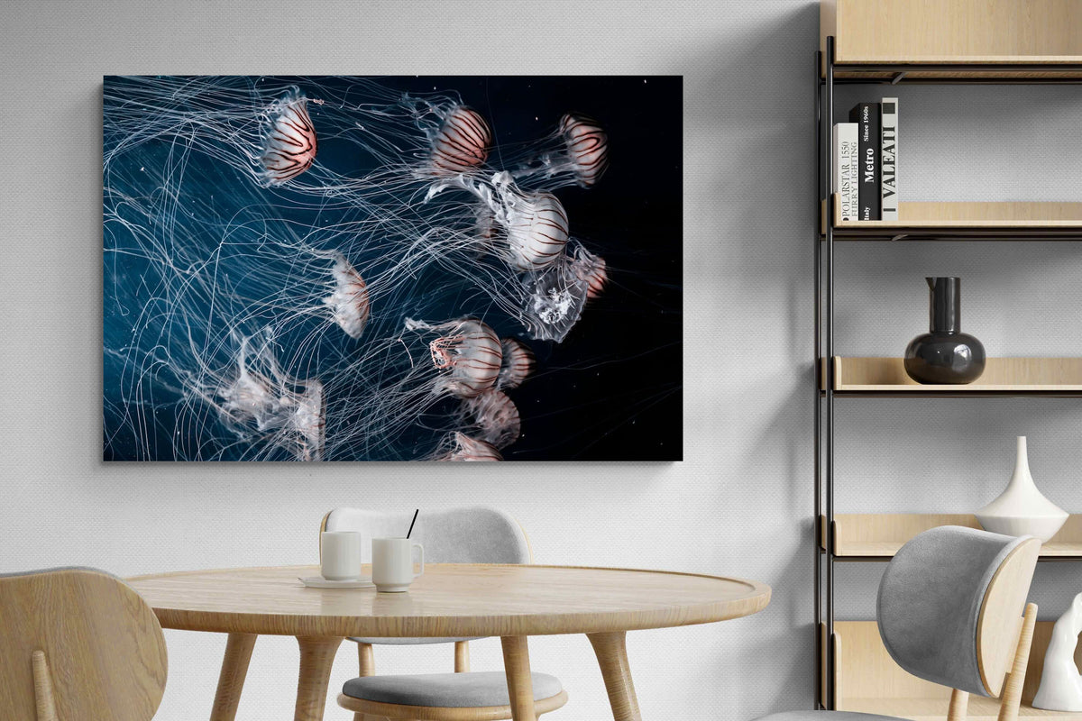 Pixalot ® Surging Jellyfish