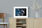 Pixalot ® Surging Jellyfish