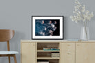 Pixalot ® Surging Jellyfish