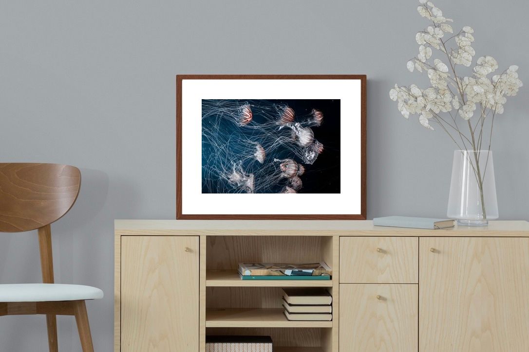 Pixalot ® Surging Jellyfish