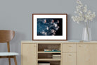 Pixalot ® Surging Jellyfish