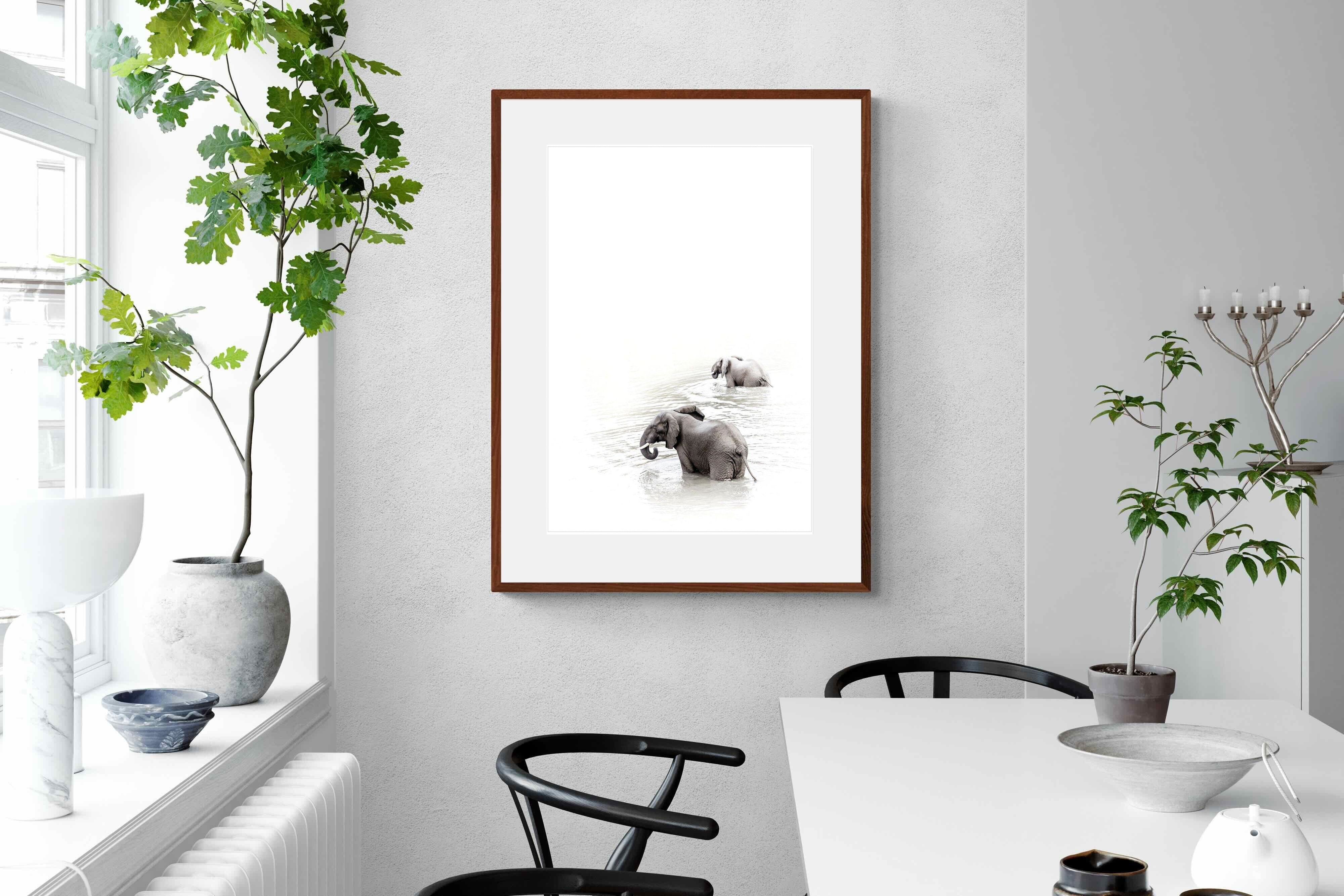 Pixalot Swimming Elephants