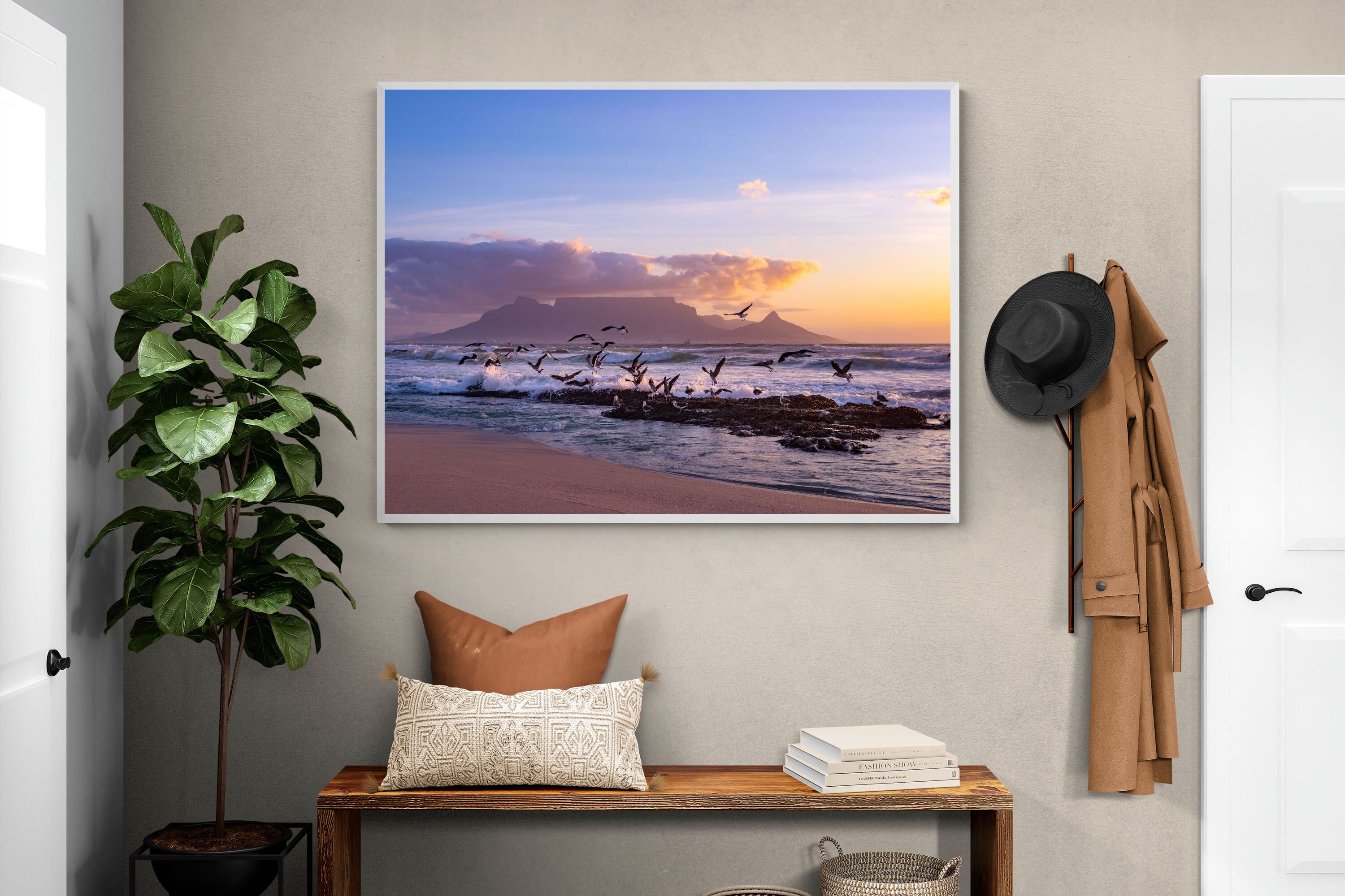 Pixalot Table Mountain Gulls